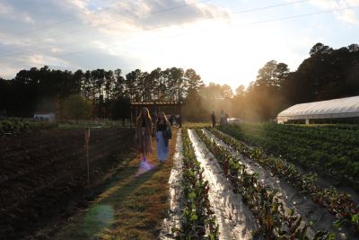 Nasher – Duke Campus Farm Tour
